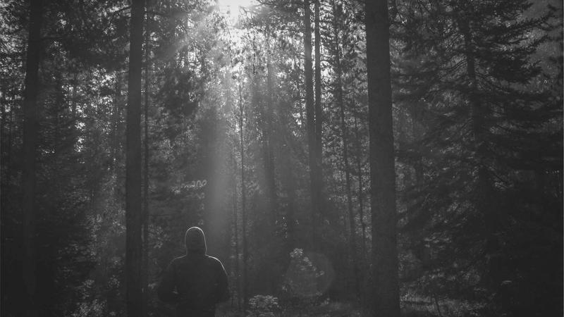 中国大陆高清体育直播平台EMC易倍官方网站首页截图展示多赛事直播窗口